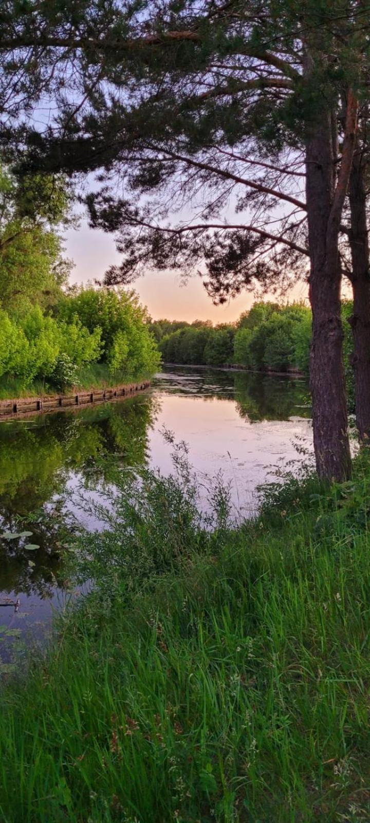 Domki Na Chabrowej Augustów Exteriör bild